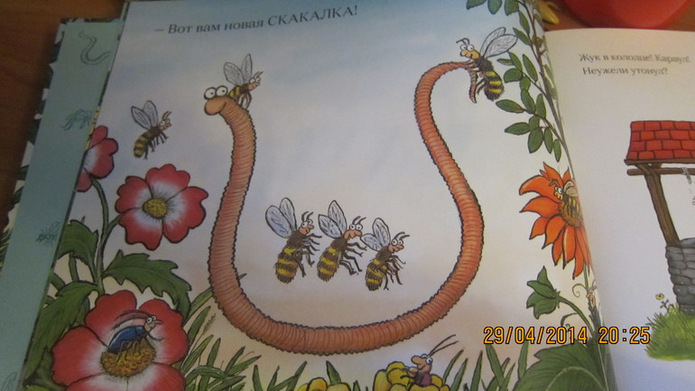 Т.Н. Насекомые
