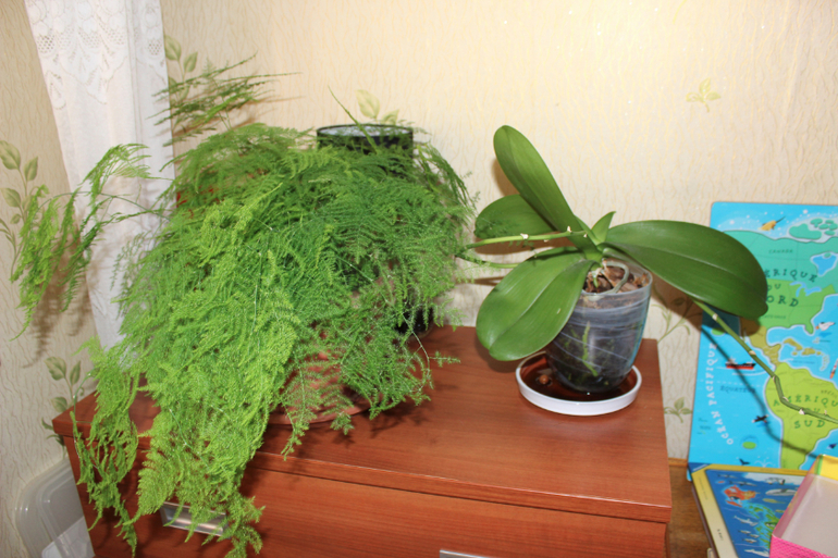 Эволюция продолжается)))