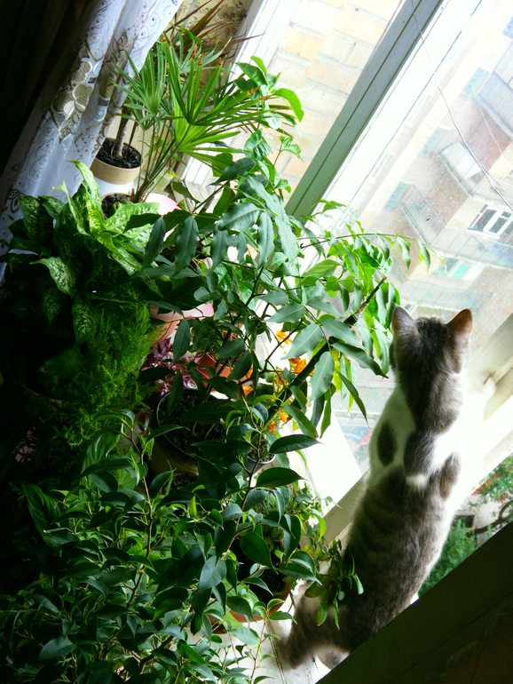 Эволюция продолжается)))