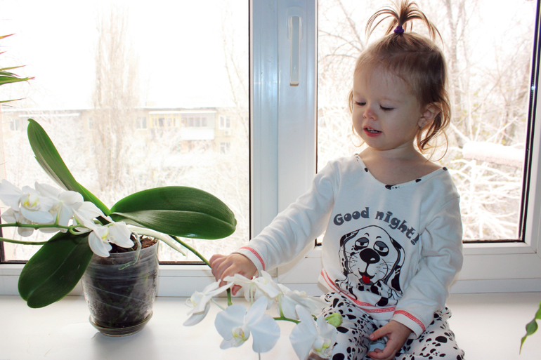 Эволюция продолжается)))