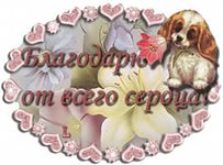 bd5e7770bfa4fd67238246813a6e1998.jpg