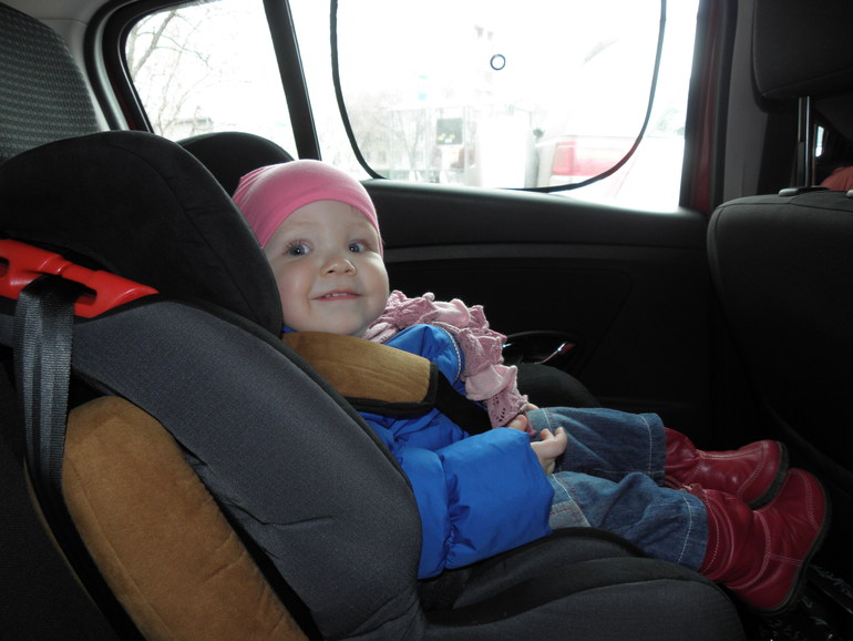 Мини зоопарк.