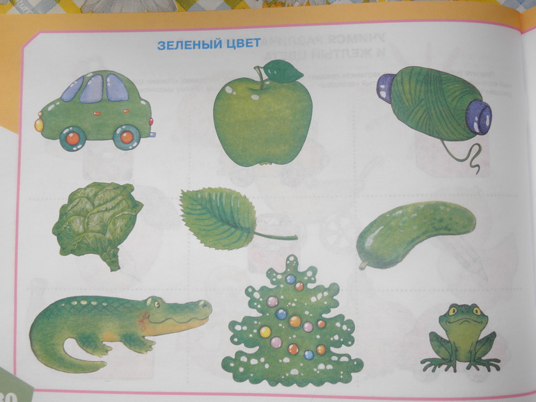 Изучаем зеленый цвет