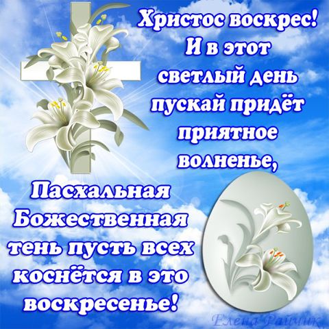 Вылезли на улицу.