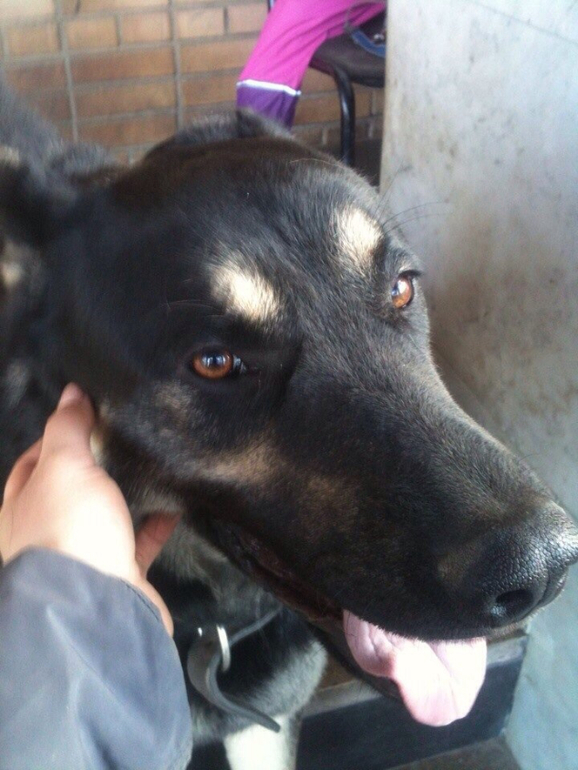 Джон и Аришка