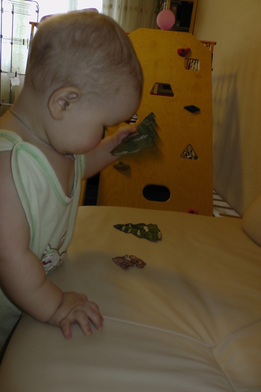 ФМ Домашние животные