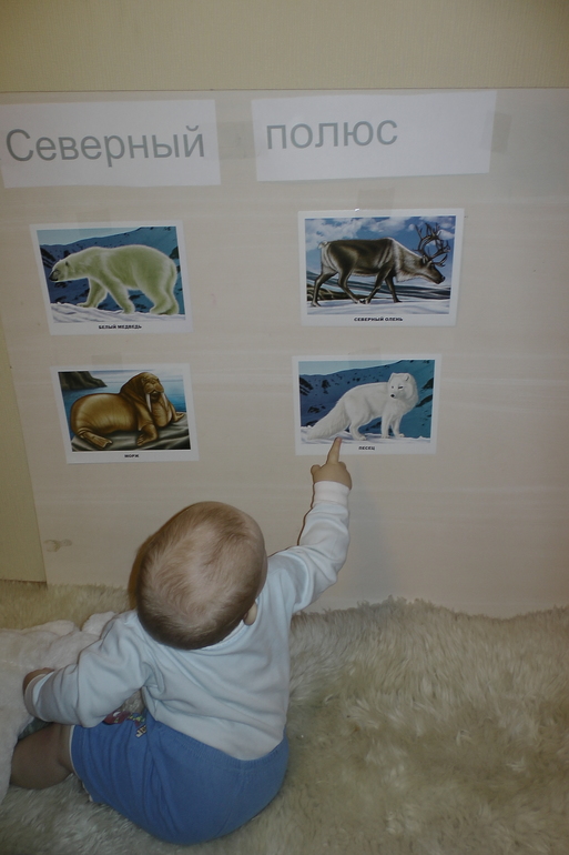 ФМ ТН Арктика и Антарктика