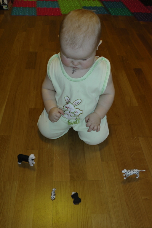 ФМ Домашние животные