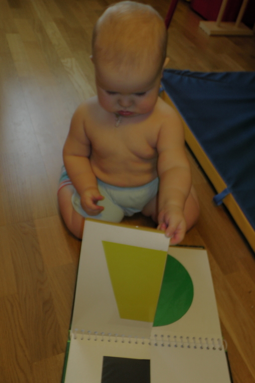 ФМ Цвета- Зеленый