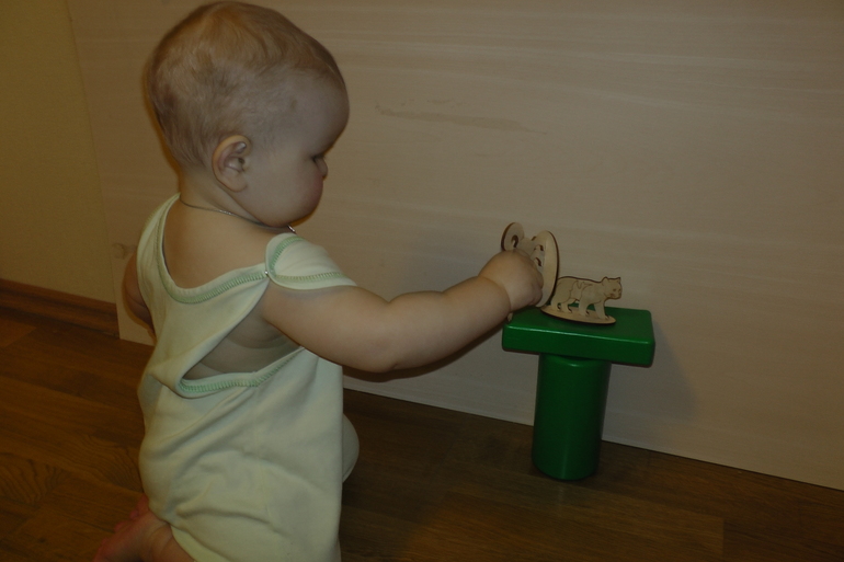 ФМ Домашние животные