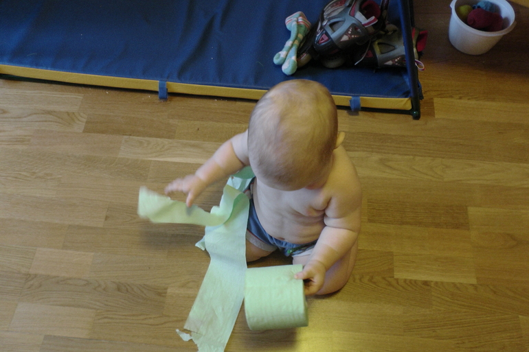 ФМ Домашние животные