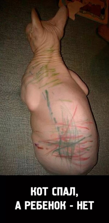 Минутка юмора