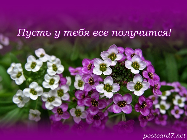 9267eed4452355f55618be0c3a125052.jpg