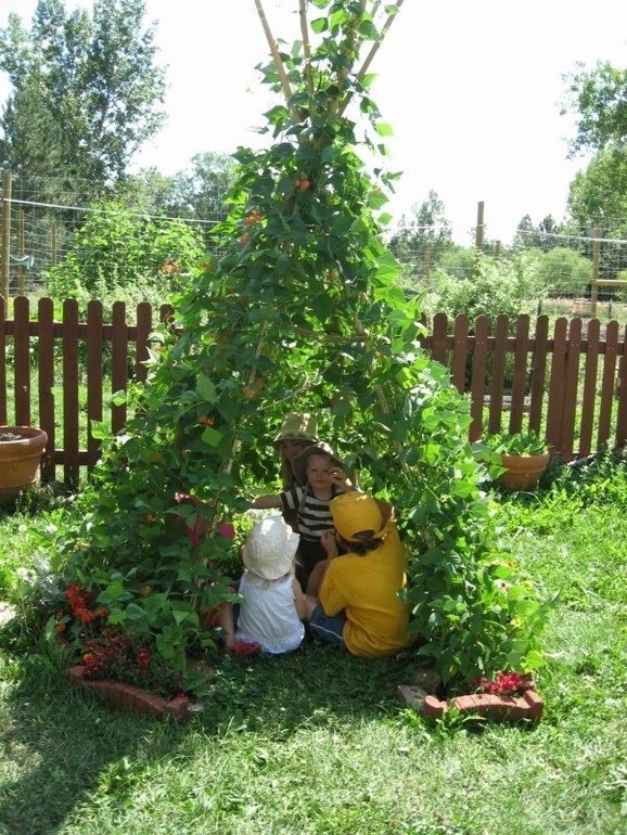 Очередные дачные идеи