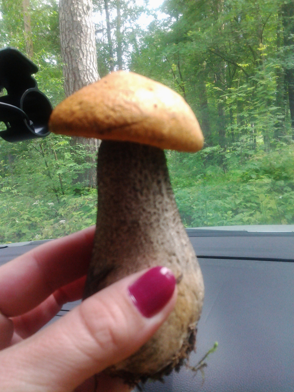 Вот это мы погуляли!!!