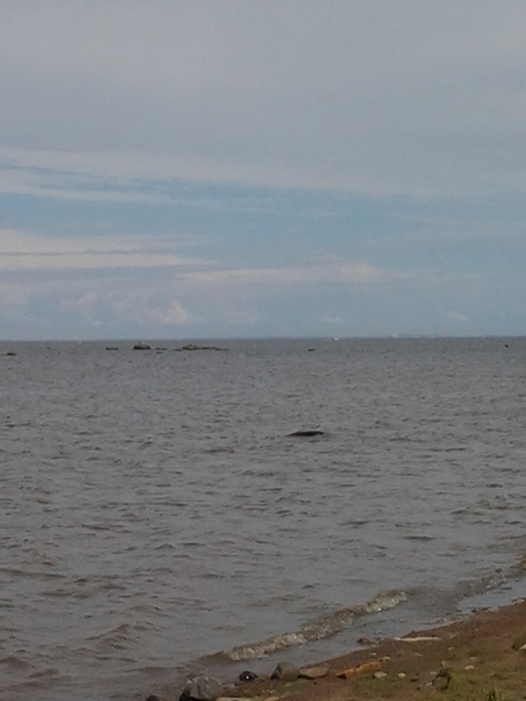 Вот это мы погуляли!!!