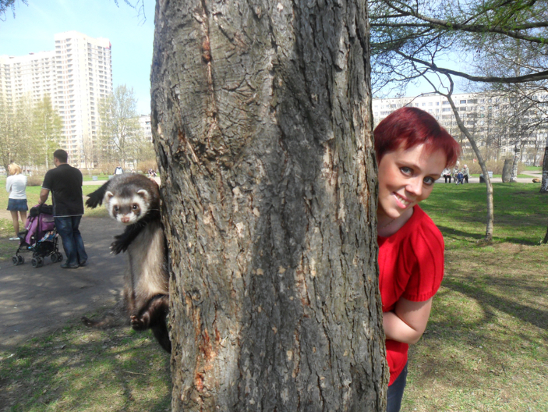 Ираклий фон Афферди...