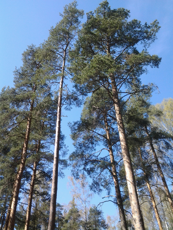 Люблю я выходные!!!