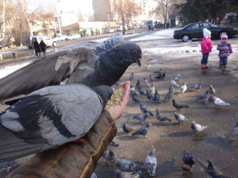 Прогулка )))