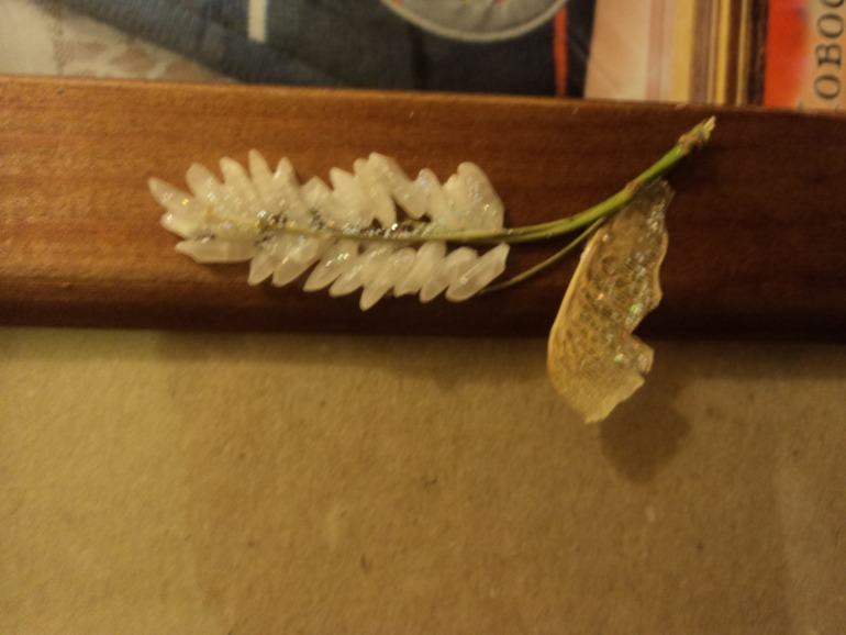 красота своими руками