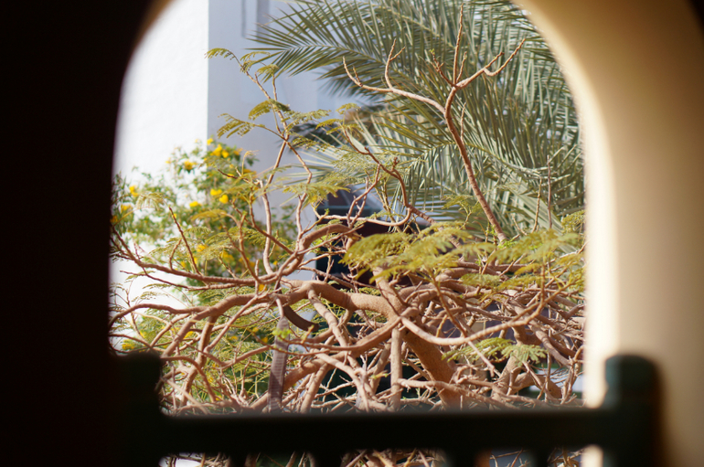 Весна в Хургаде