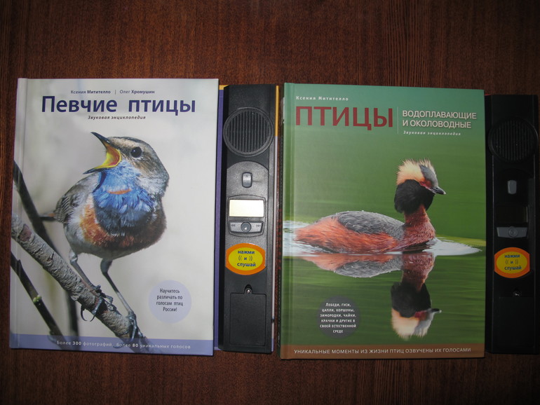 Наше чтение в марте. Мальчишкам 4 и 6 лет.