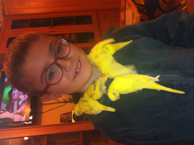 Расскажу и я о нашей семейке волнистиков))