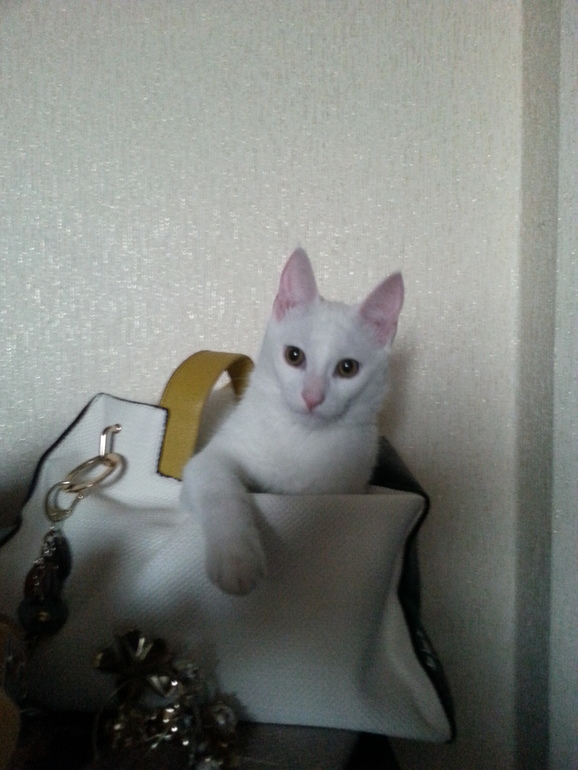 Лекарство от глистов...