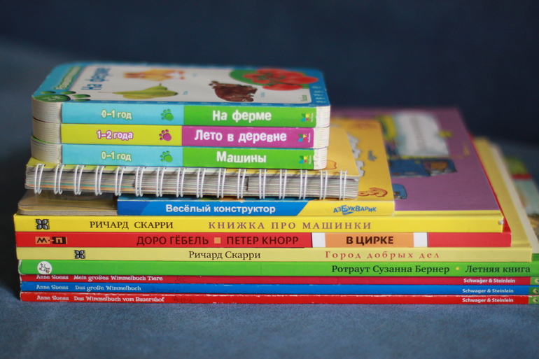 Наша детская книжная полка. Книги для рассматривания.