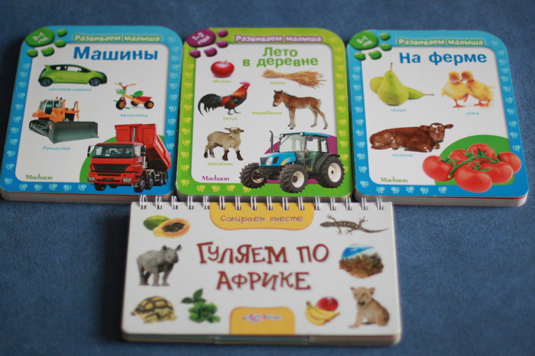 Наша детская книжная полка. Книги для рассматривания.