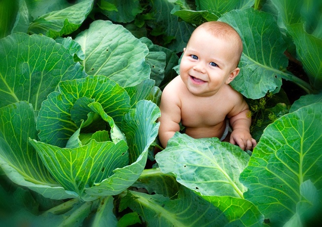 Мама, а откуда берутся дети?