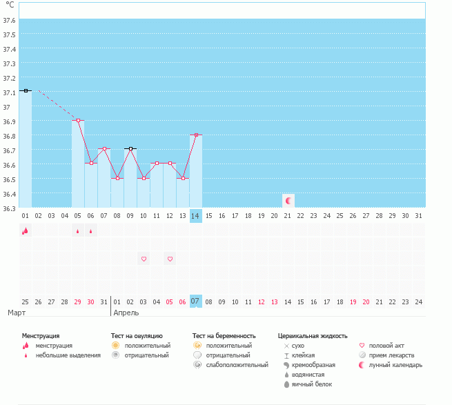 когда ждать овуляцию...