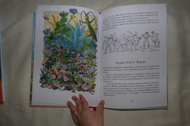 Онджей Секора