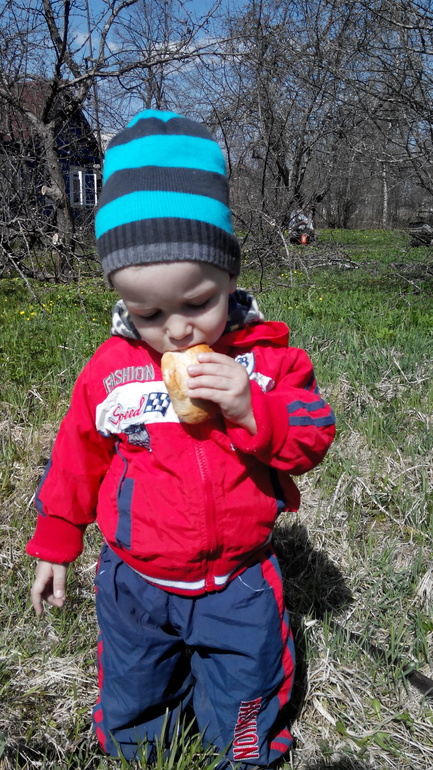 как Миша был дачником и когда же закончится моя аллергия....