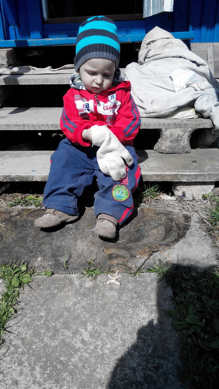 как Миша был дачником и когда же закончится моя аллергия....