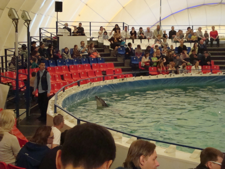 Дельфинарий на ВВЦ