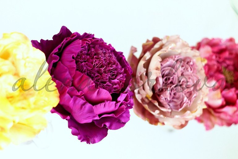 Впервые только цветочный курс Алены Орловой! 4,5,6 апреля Москва