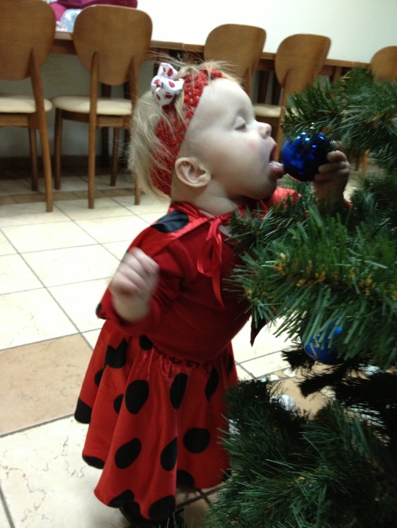 Бургундские коровки