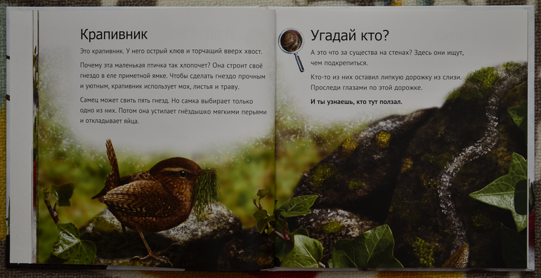 Эту книгу мы возьмем с собой на дачу!