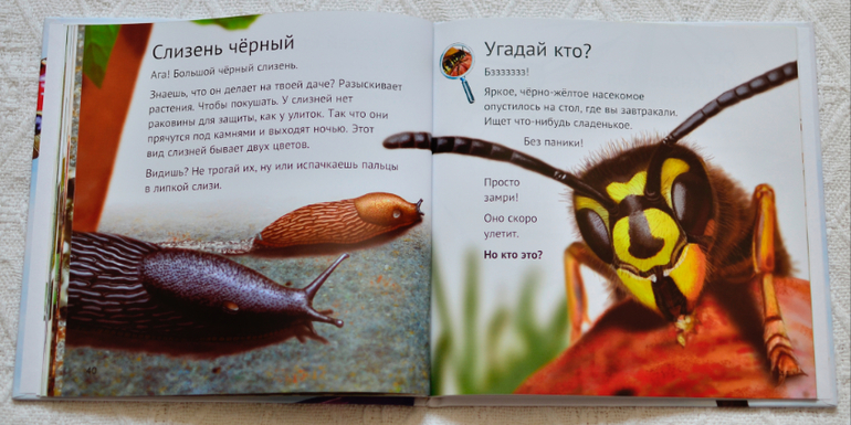 Эту книгу мы возьмем с собой на дачу - 2