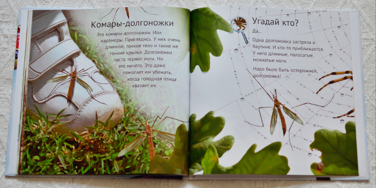 Эту книгу мы возьмем с собой на дачу - 2