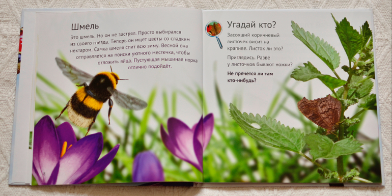 Эту книгу мы возьмем с собой на дачу - 2