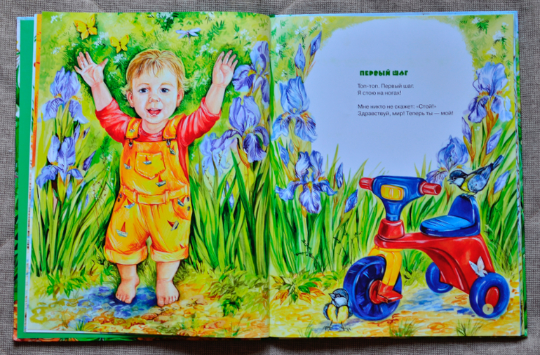 Большая книга для маленького читателя