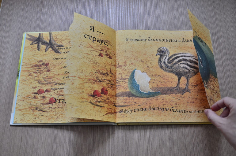 Кто вылупится из яйца?