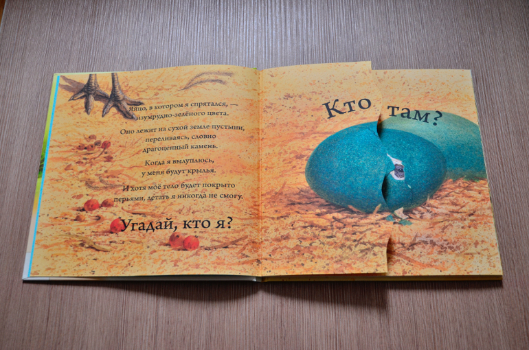 Кто вылупляется из яйца?