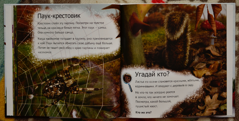 Эту книгу мы возьмем с собой на дачу!