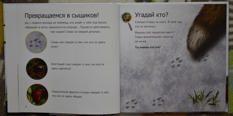 Эту книгу мы возьмем с собой на дачу!