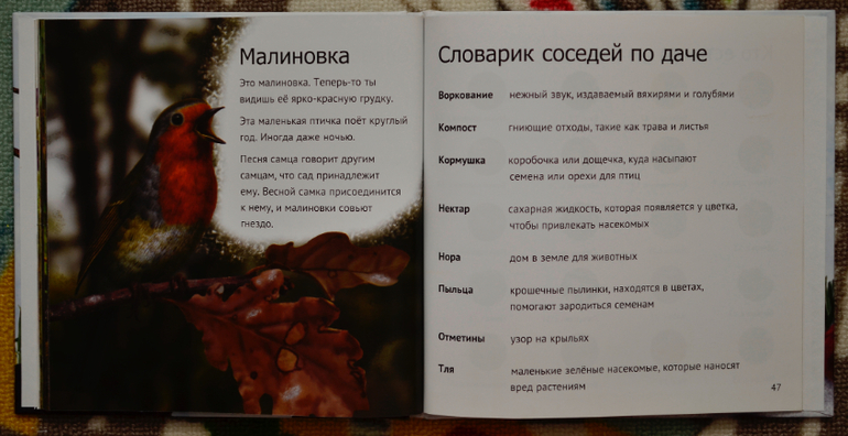 Эту книгу мы возьмем с собой на дачу!