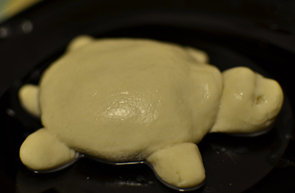 Как мы красили черепаху