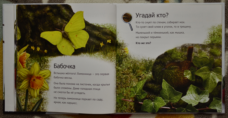 Эту книгу мы возьмем с собой на дачу!